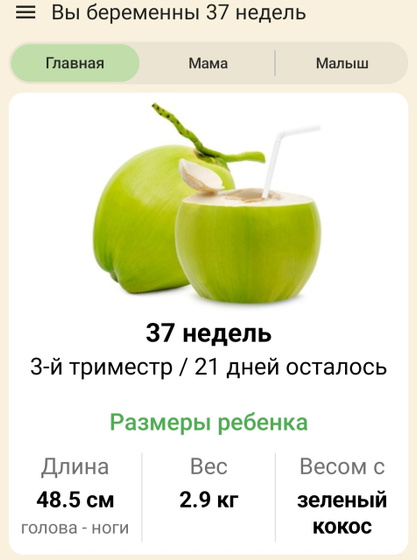 37 недель??