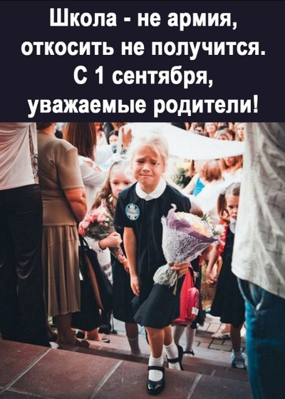 Успокоительное все купили??