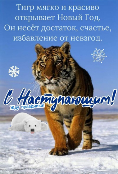 С наступающим новым годом!