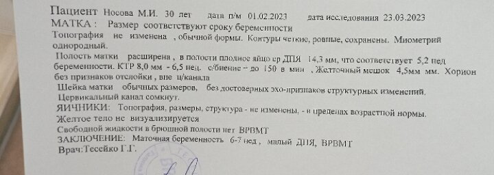 Результаты моего первого УЗИ..