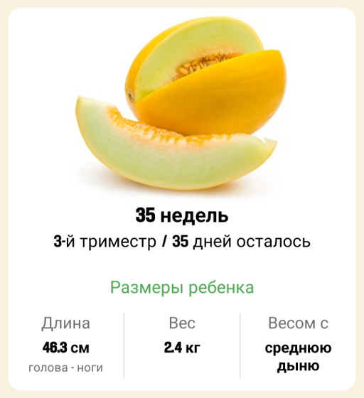 35 недель. 🍈🍈🍈