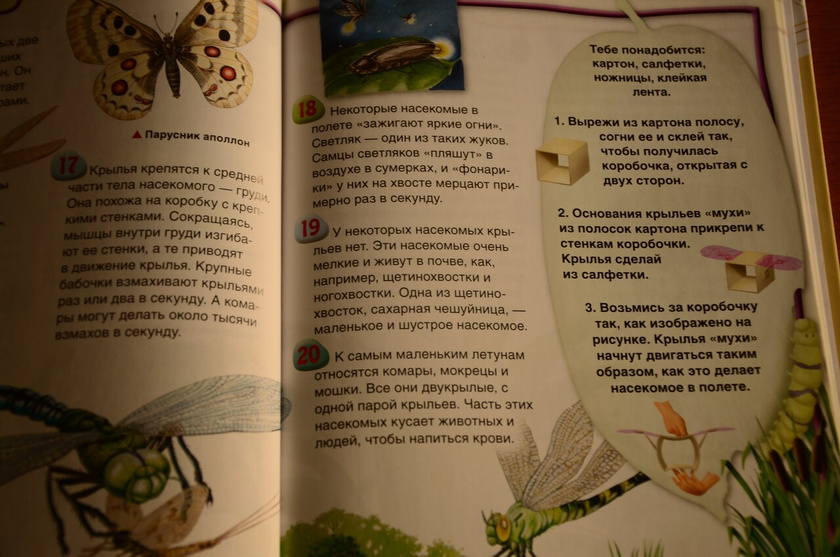 ТУ- продолжаем наши уроки о важности деревьев. Насекомые.