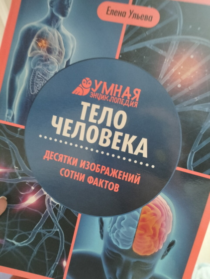 А что вы читаете перед сном?