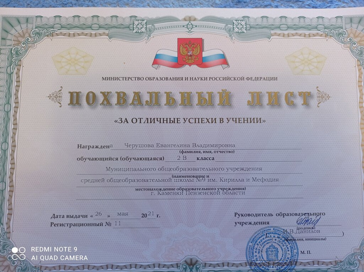 Давно меня не было...
