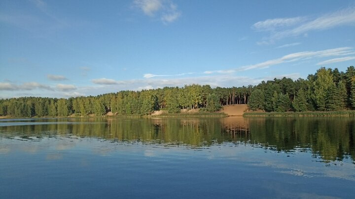 Сегодня был отличный день