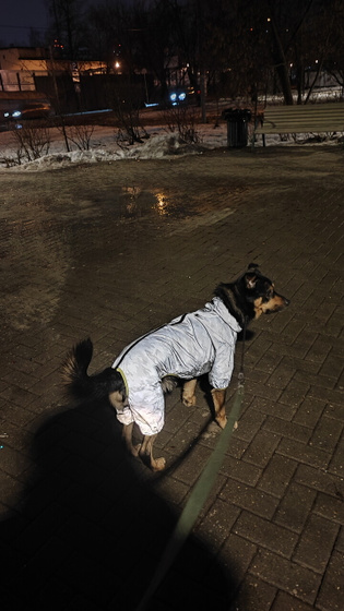 Тоша- птичка 😄