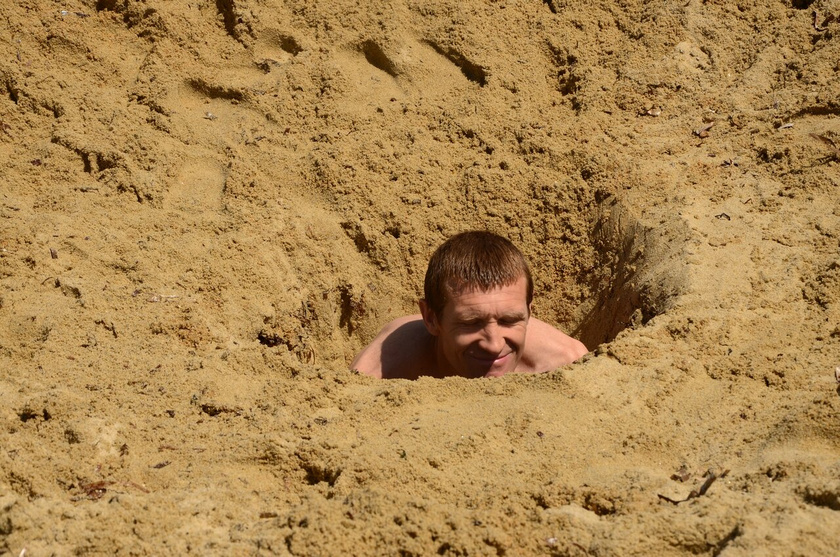 Водорослевые обертывания бесплатно)