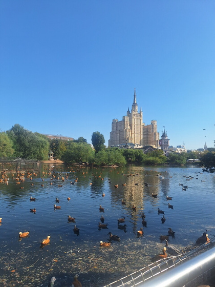 Зоопарк , и вопрос про выставку Москва 2030