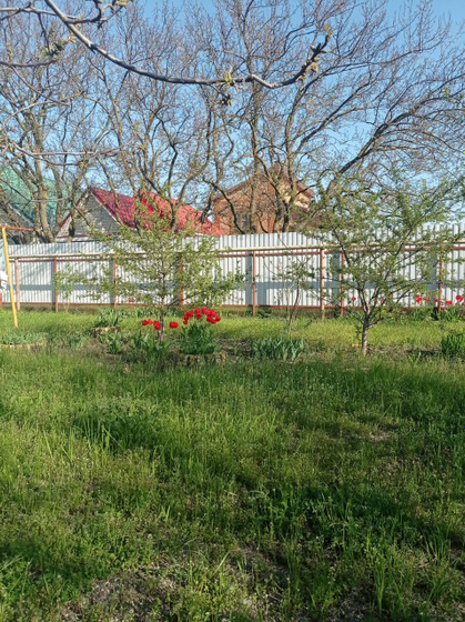 Ейск наконец то зацвёл 🌹💐😌✊😍 а какая у вас погода за окном? С наступающими, Деффчонки🌹🌹🌹💐💐💐💐