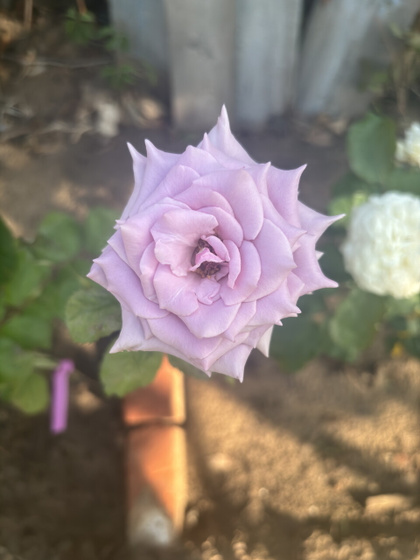 Наши дела делишные🥰