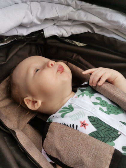 Переехал сегодня в прогулку
