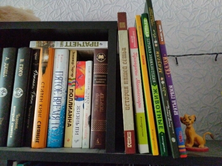 Какие книги читаете сейчас детям в 5-6 лет?