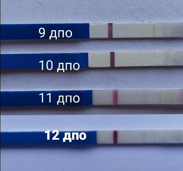 Топ крутых тестов для