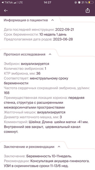 Узи 10 недель 1 день