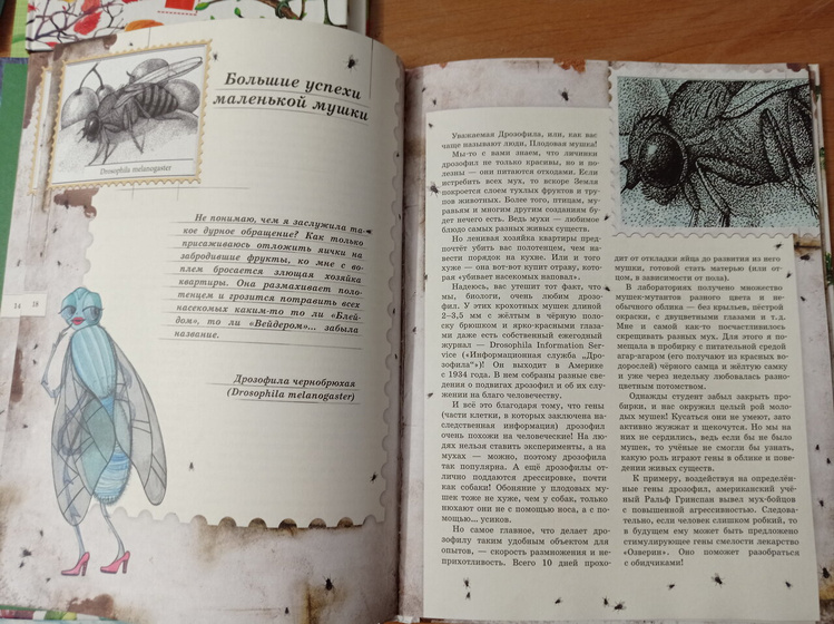 Поступление книг не только для детей, но и для меня.