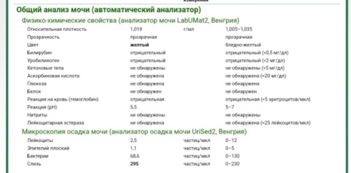 Анализ мочи ребенка. Бактерии и Слизь в большом количестве