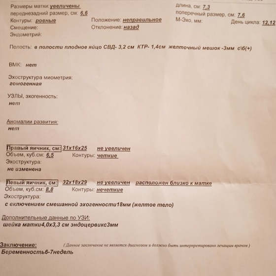 Первое УЗИ