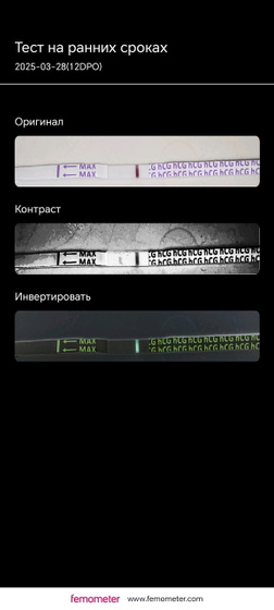 Тест.