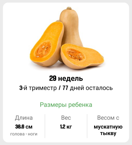 29 недель. 🎃🎃🎃