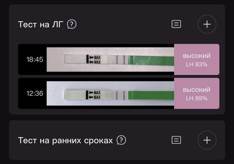 22 дц ( вечер )