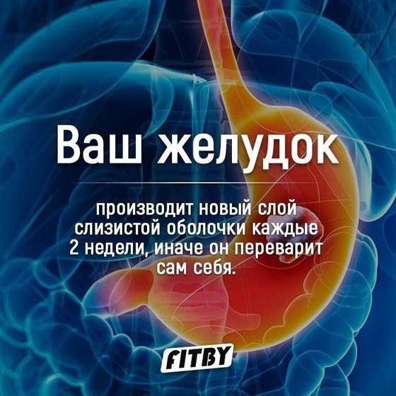 Удивительные факты?