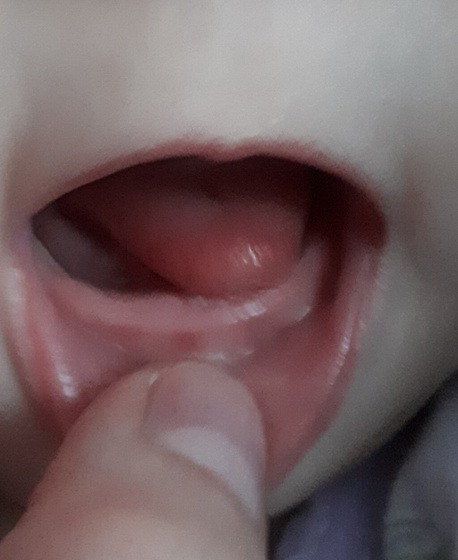 Сегодня нам 7 мес