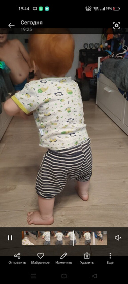 Не сфоткаться с ними