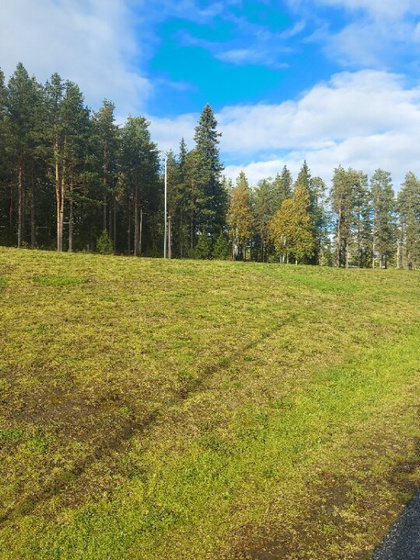 ? Осень