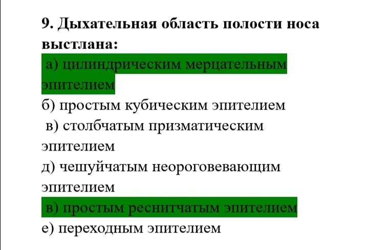 Анатомия