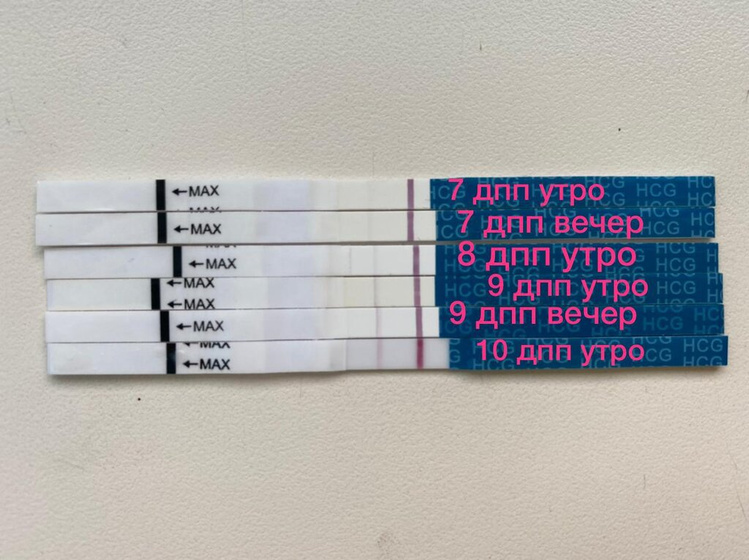 Подсадка одной 3х дневки,
