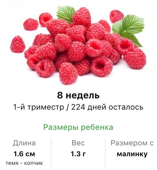 8 недель .
