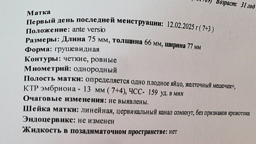 7 недель узи