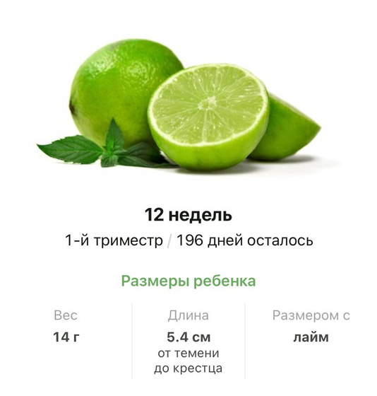 12 недель .