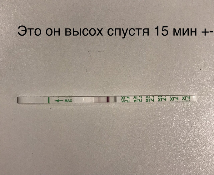 Забыла уточнить, а вдруг это хвост?(