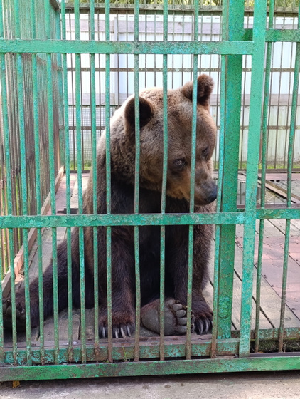 День релакса