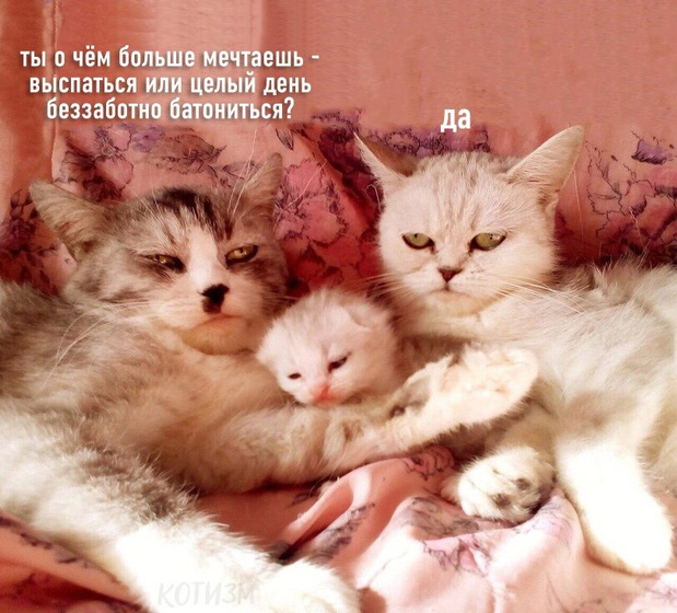Всем знакомо ?