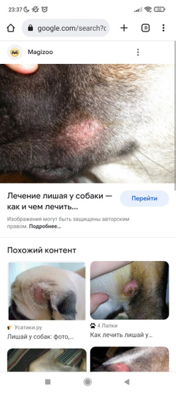 Добрый вечер.