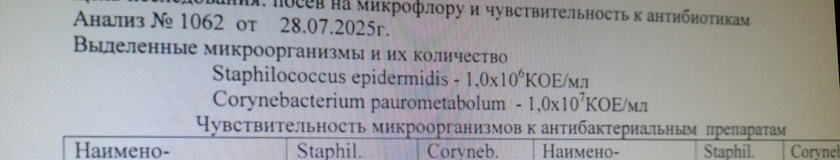Посев из носа