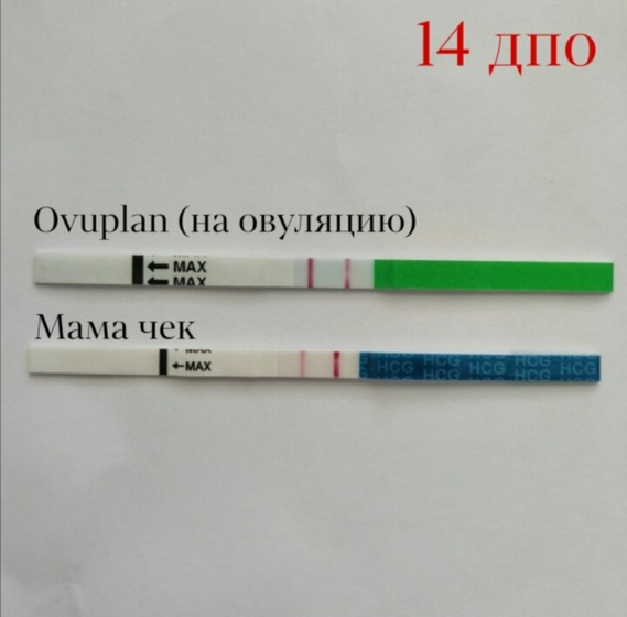 Завалялся последний Овуплан ,и