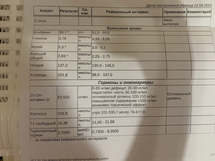 Девочки.