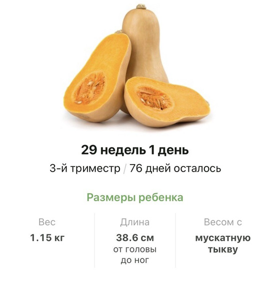 2️⃣9️⃣ недель ?.