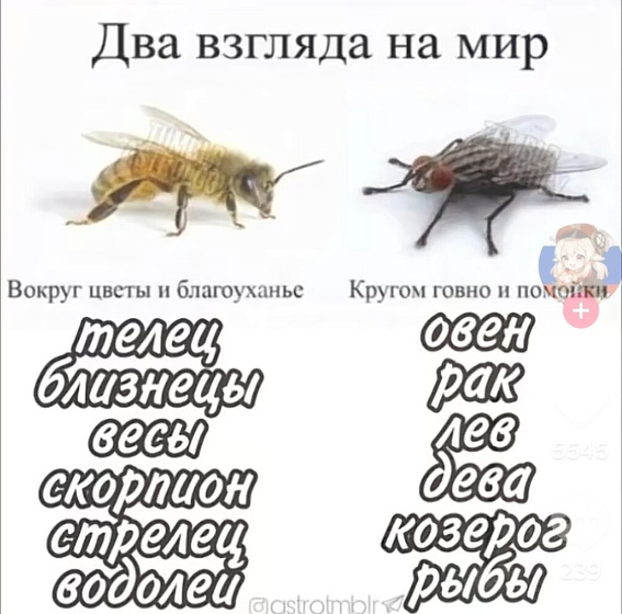 Фотография 2022-10-19 18:08:15