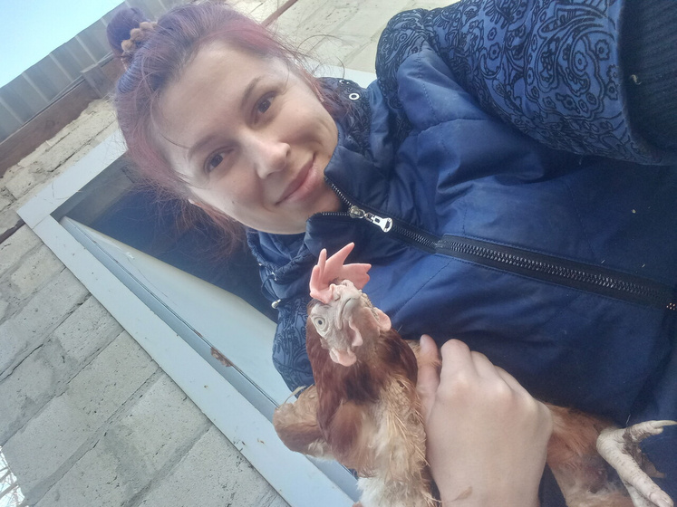 Курятник 🐔