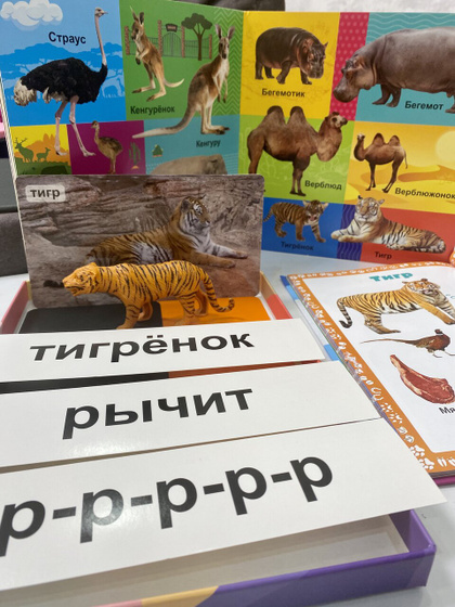 Тематический день тигра + ссылки на вб