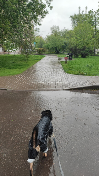 Что мне снег, что мне зной