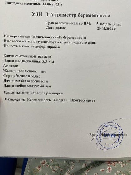 Беременность. Первое узи