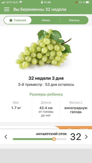 Счет на дни пошел ?