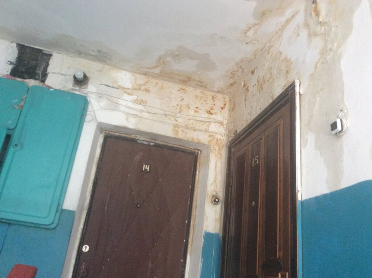 Я уже не знаю куда обращаться!