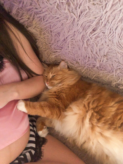 Кошка и малыш ❓