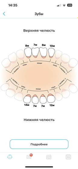 Новый зубик и умелка)